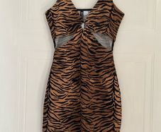 Tiger Print Mini Dress H&M