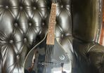 Epiphone A-Style Mandolin with Gig Bag