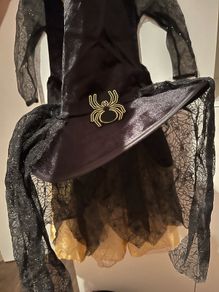 Halloween witch costume