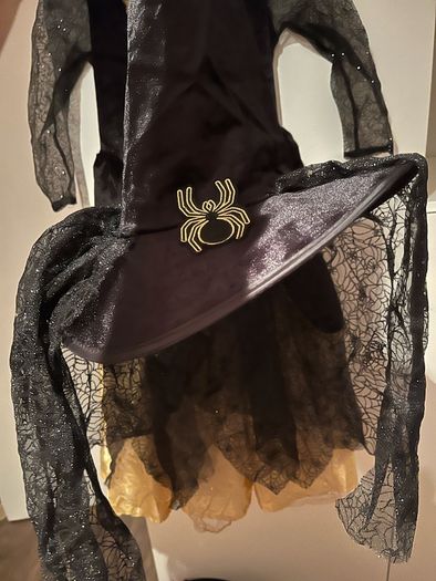 Halloween witch costume