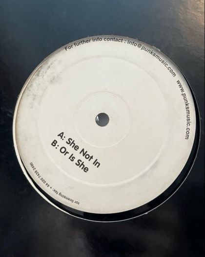 40 x 12" electronic vinyl