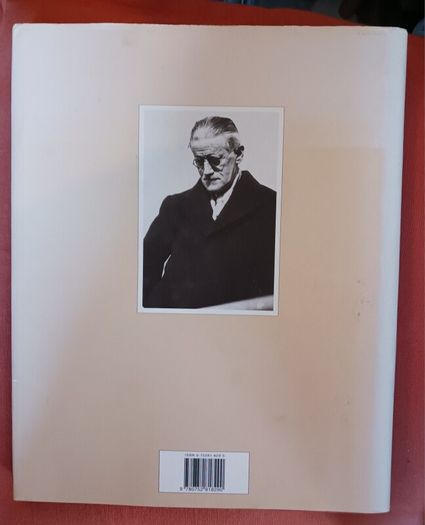 James Joyce / A Passionate Exile/ John McCourt/ 2000