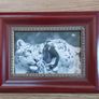 Photos framed 5 Image 3