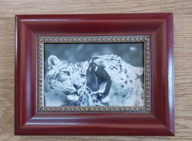 Photos framed 5