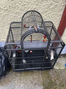 bird cage