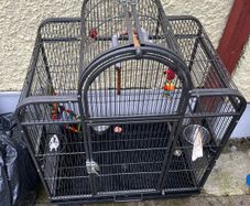 bird cage