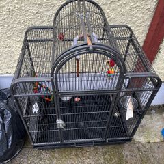 bird cage