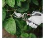 Kent & stowe secateurs Image 4