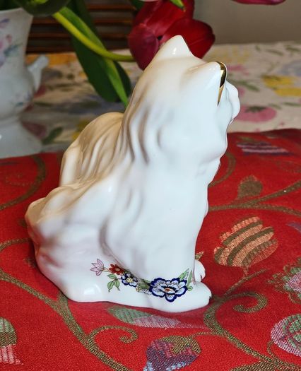Royal Tara Cat