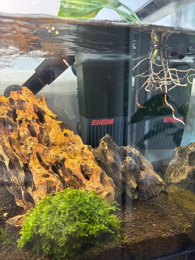 tank and stand