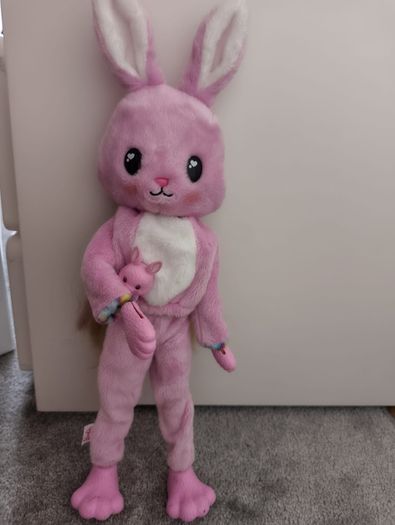 Barbie bunny