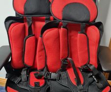Two Child Travel Seats