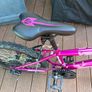 Mountain Bike Image 2