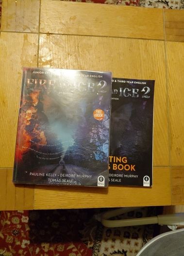 fire and ice book