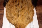 Whiting bramha rooster capes