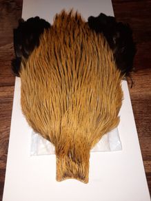 Whiting bramha rooster capes