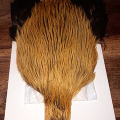 Whiting bramha rooster capes