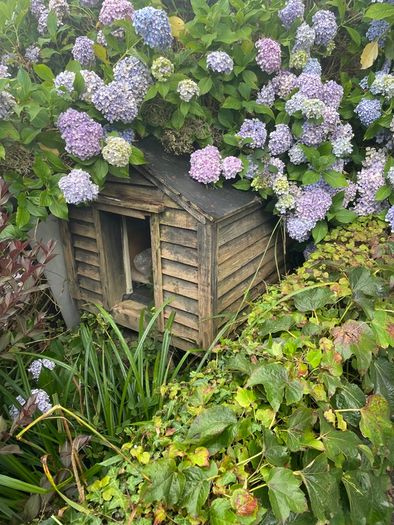 Dog House