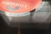vinyl