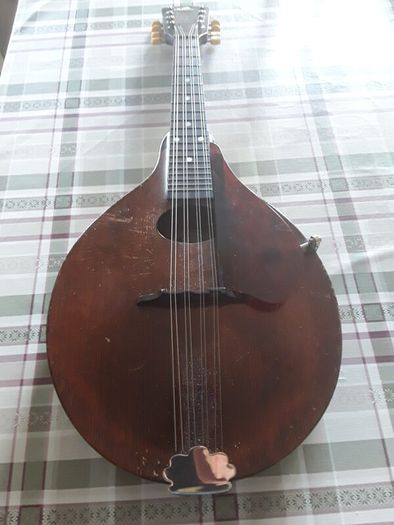 Gibson Mandolin