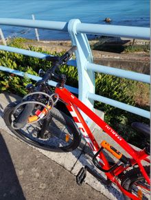Trek Marlin 5
