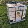 Ibc Dog kennel/ Calf-sheep-pig hutch. Image 4