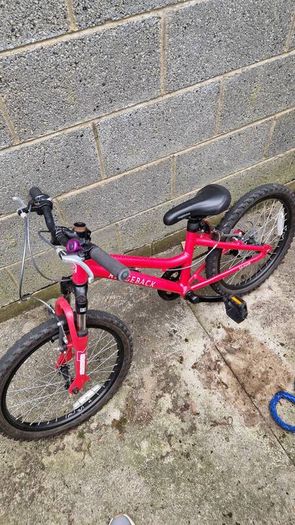 Girls 20 inch Ridgeback bike