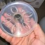 Spectra dual S hospital grade breast pump Image 6