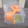 hamster cage Image 2