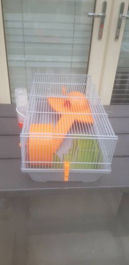 hamster cage