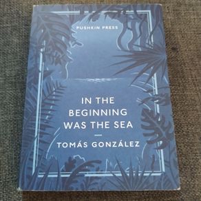 In the Beginning Was the Sea/ Tomas Gonzalez