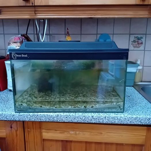 Fish tank