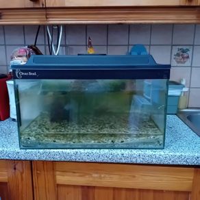 Fish tank
