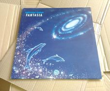 Over 31% OFF! No. 100 Pcs x 12 Inch LP Album & Single Vinyl Record Covers Crystal CLEAR plastic Outer sleeves - BLAKE SLEEVES - NO FLAP SEAL