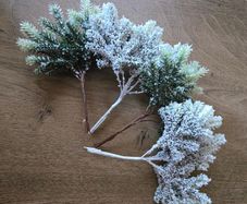 Christmas Picks