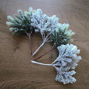 Christmas Picks