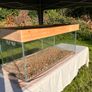 Massive (4ft) Wood & Glass Terrarium Image 3