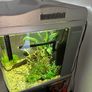 80L fish tank and stand Image 3