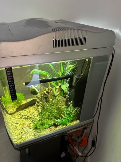 80L fish tank and stand