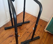 Dip Bars/ Parallel Bars
