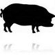 Marry Pig Farms Limited