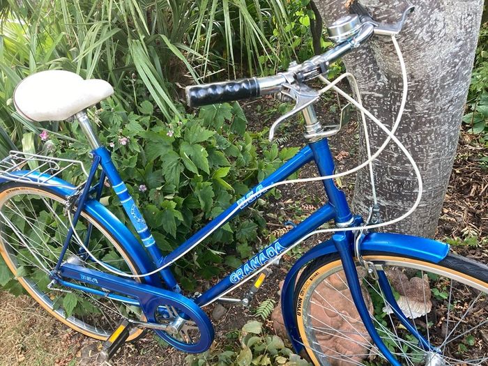 Vintage Raleigh Bike