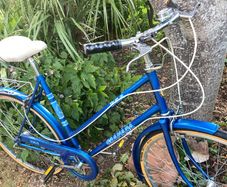 Vintage Raleigh Bike