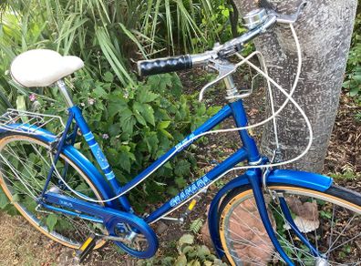 Vintage Raleigh Bike