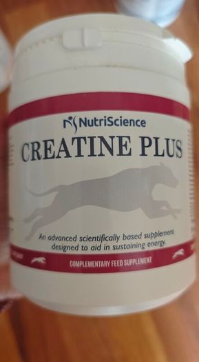 Dog Supplement