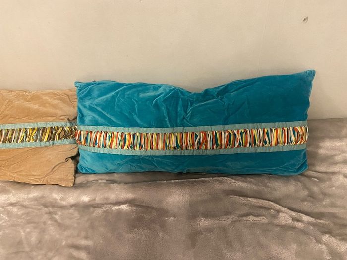 2 Velevt cushions