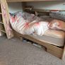 bunk bed Image 4