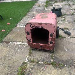 Dog house