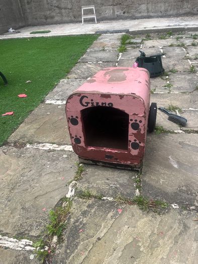 Dog house
