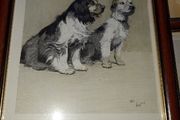 Famous antique Dog illustrations